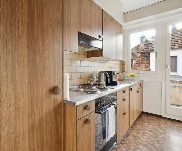 Apartment Cozy In The Heard Of Sonnegg *