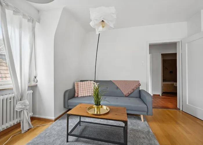 Apartment Cozy In The Heard Of Sonnegg Zurich